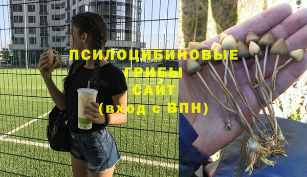 соль ск Лагань