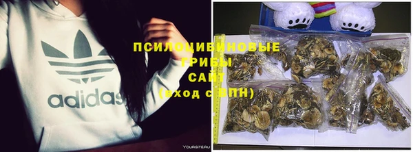 гидропоника Ладушкин
