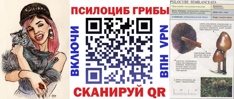 Псилоцибиновые грибы ЛСД  Воронеж 